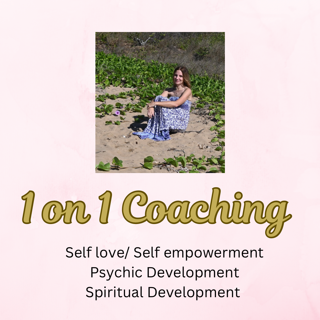 1 on 1 coaching video call